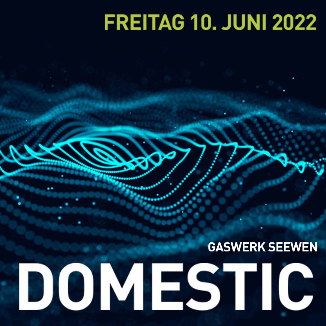 Domestic Party