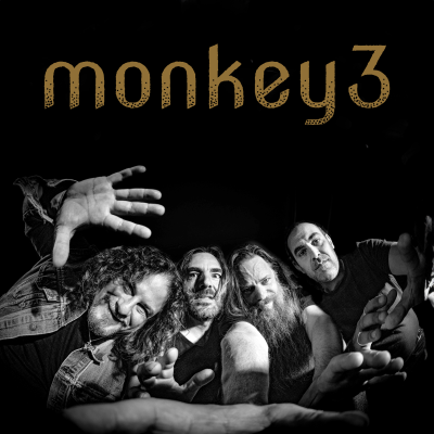 Monkey3 & Son Cesano