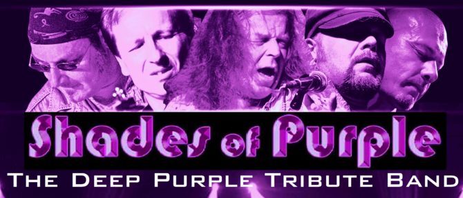 Shades Of Purple