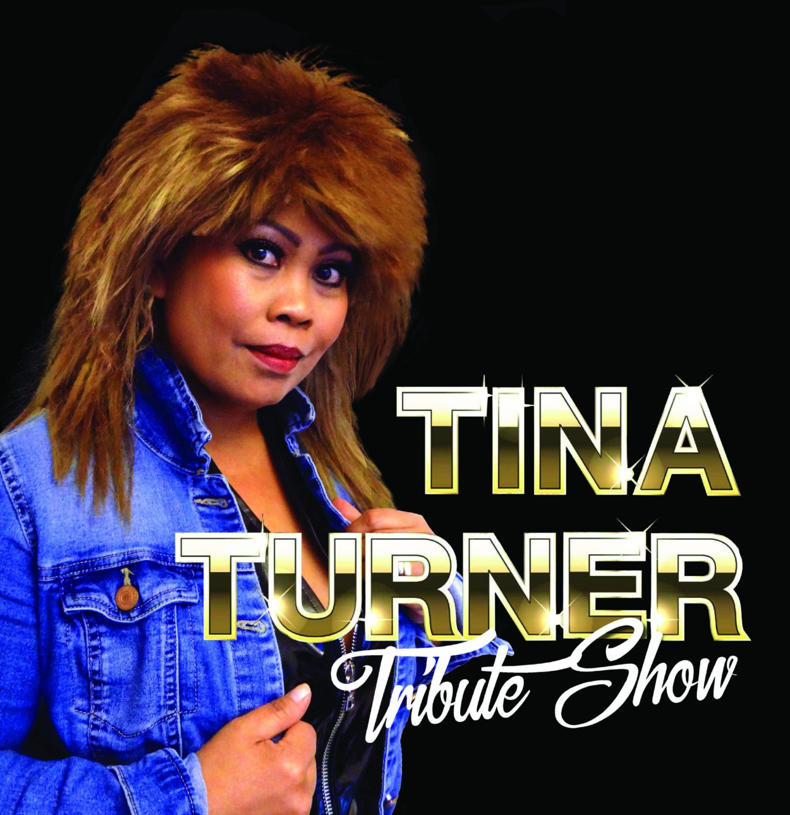 Tina Turner Tribute Show (CH)