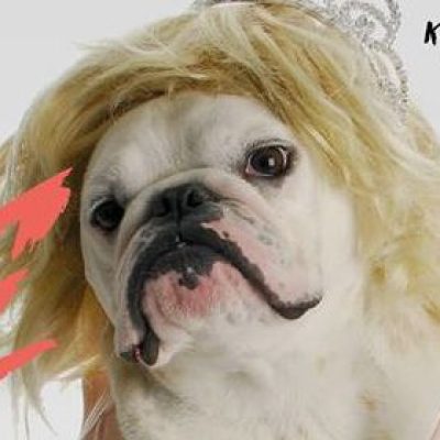 BAD TASTE PARTY Vol. 2