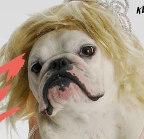 BAD TASTE PARTY Vol. 2