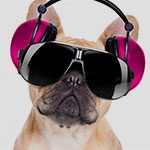 Silent Disco
